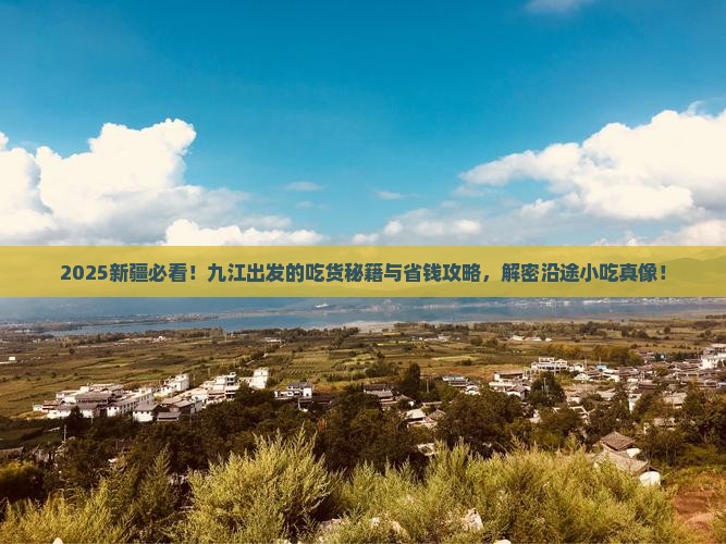 九江到新疆旅游小吃