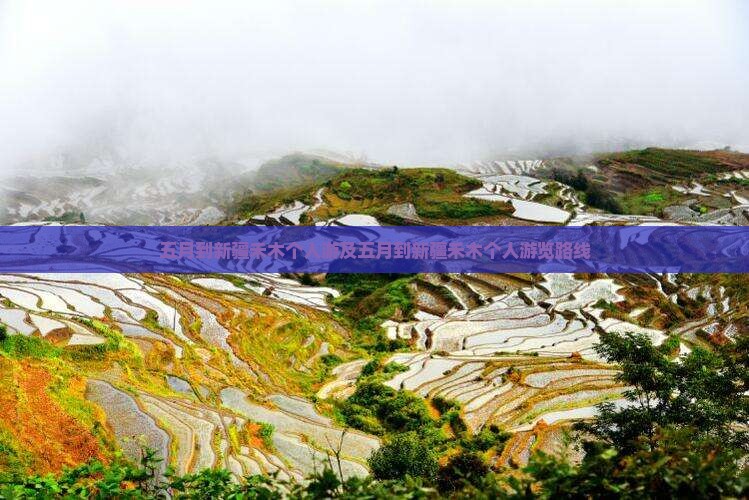 五月到新疆禾木个人游