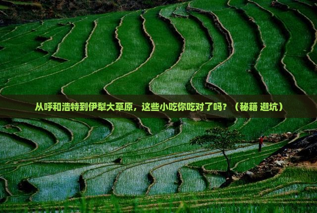 呼和浩特到新疆伊犁大草原旅游小吃