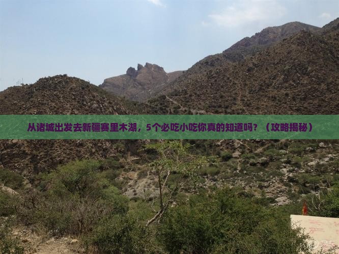 诸城去新疆赛里木湖旅游小吃