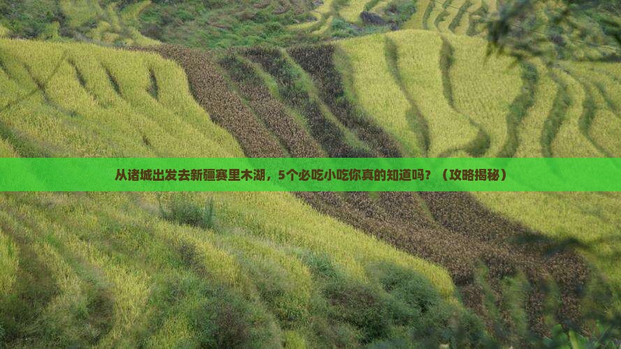 诸城去新疆赛里木湖旅游小吃