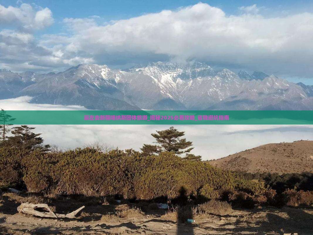 崇左去新疆喀纳斯团体旅游