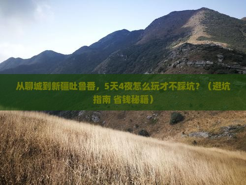 聊城到新疆吐鲁番攻略