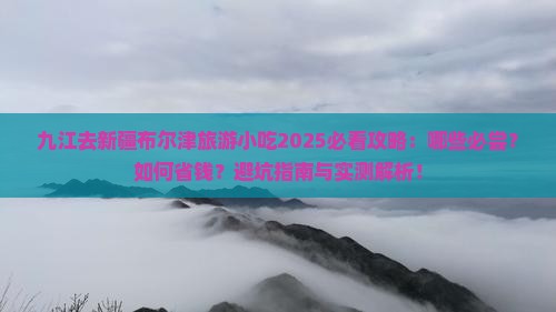九江去新疆布尔津旅游小吃