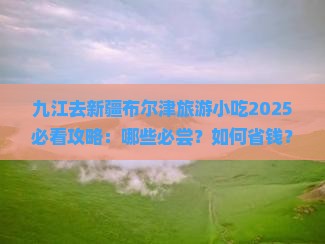 九江去新疆布尔津旅游小吃