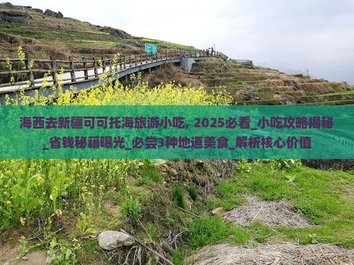 海西去新疆可可托海旅游小吃