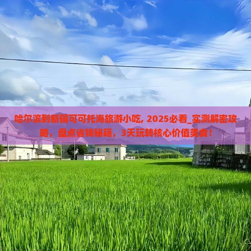 哈尔滨到新疆可可托海旅游小吃