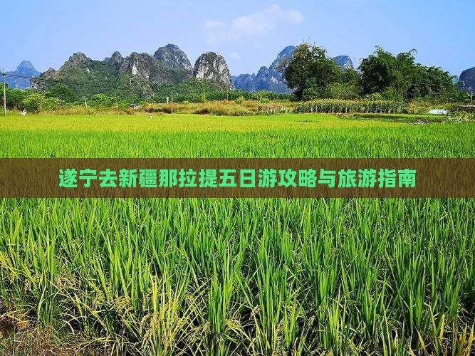 遂宁去新疆那拉提五日游