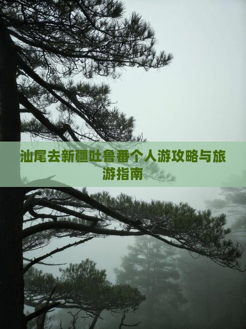 汕尾去新疆吐鲁番个人游