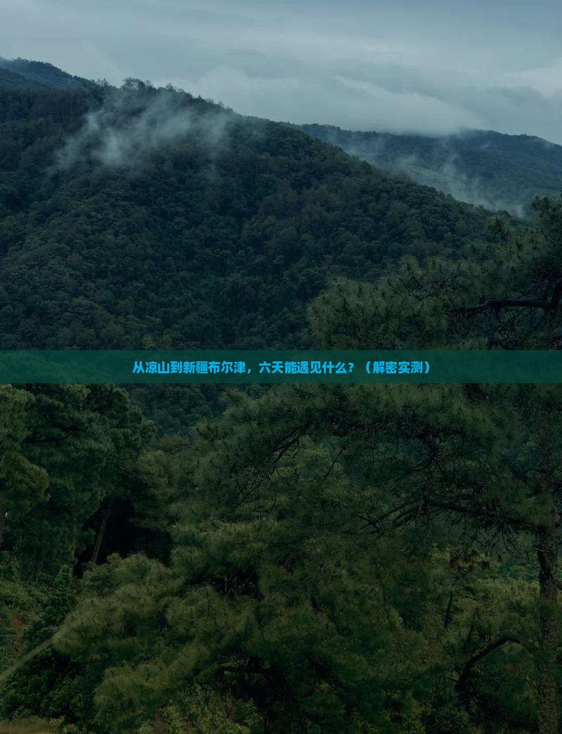 凉山到新疆布尔津六日游