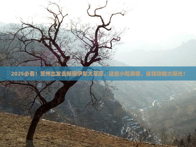 贺州到新疆伊犁大草原旅游小吃