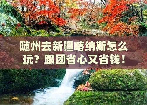 随州去新疆喀纳斯旅行社