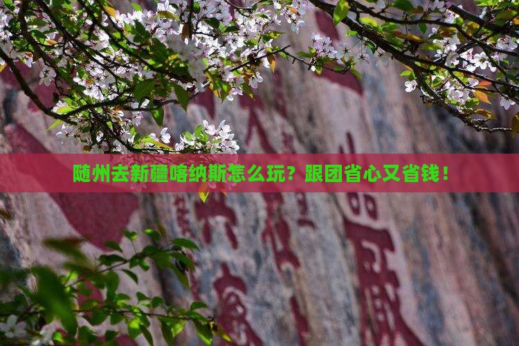 随州去新疆喀纳斯旅行社