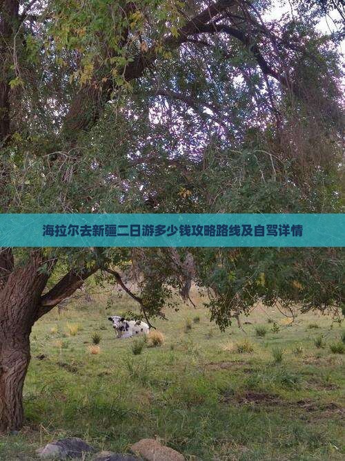 海拉尔去新疆二日游