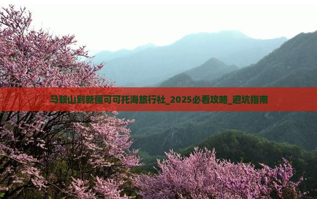 马鞍山到新疆可可托海旅行社