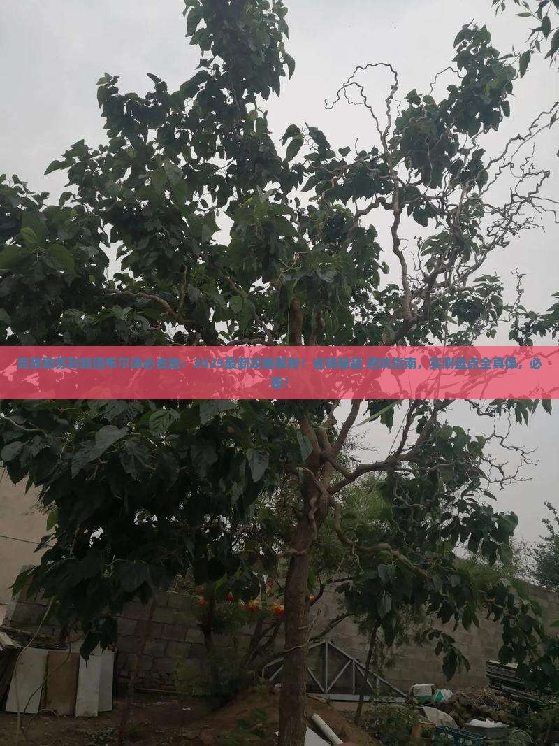 克孜勒苏到新疆布尔津必去地