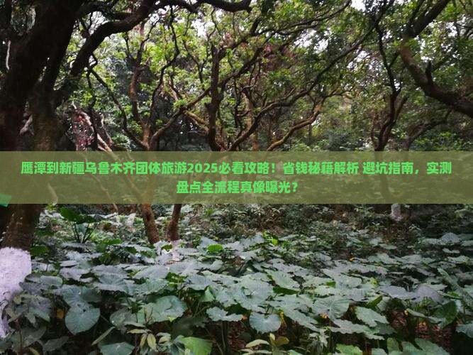 鹰潭到新疆乌鲁木齐团体旅游