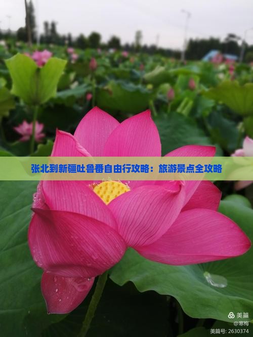 张北到新疆吐鲁番自由行