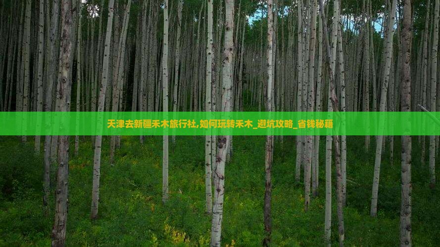 天津去新疆禾木旅行社