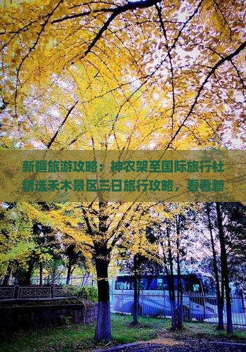新疆旅游攻略：神农架至国际旅行社精选禾木景区三日旅行攻略，看看新疆美景