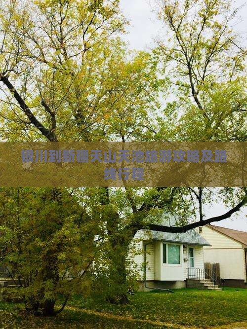 银川到新疆天山天池旅游攻略及路线行程