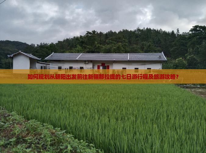 如何规划从朝阳出发前往新疆那拉提的七日游行程及旅游攻略？