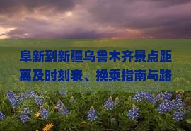 阜新到新疆乌鲁木齐景点距离及时刻表、换乘指南与路线指引