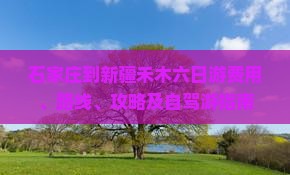 石家庄到新疆禾木六日游费用、路线、攻略及自驾游指南