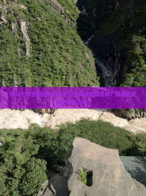 银川出发至新疆禾木自由行旅游团如何选择？跟团还是自助游更合适？