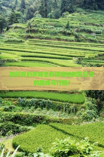 如何规划赤峰至新疆喀纳斯四日游的路线与行程？