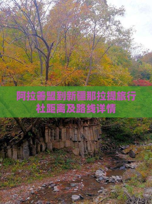 阿拉善盟到新疆那拉提旅行社距离及路线详情 阿拉善盟到新疆那拉提旅行社距离及路线详情