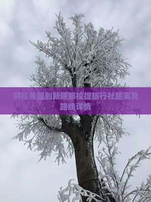 阿拉善盟到新疆那拉提旅行社距离及路线详情 阿拉善盟到新疆那拉提旅行社距离及路线详情
