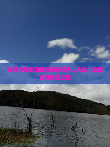自贡大型旅游团探秘新疆天山天池：全面旅游攻略之旅