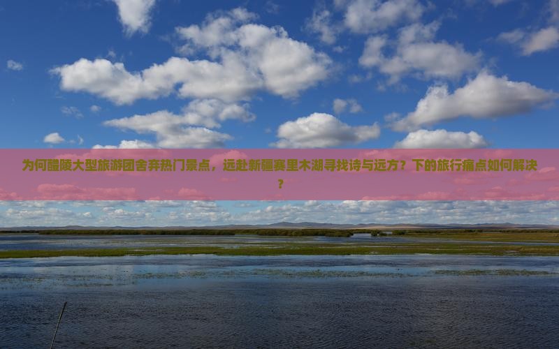 为何醴陵大型旅游团舍弃热门景点，远赴新疆赛里木湖寻找诗与远方？下的旅行痛点如何解决？