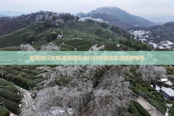新疆旅行攻略|看看国际旅行社的新疆旅游线路推荐