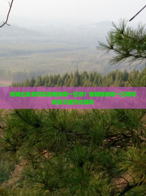 塔城出发如何实现喀纳斯一日游？新疆喀纳斯一日游攻略及交通方式解析