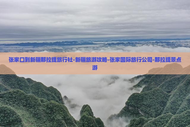 张家口到新疆那拉提旅行社-新疆旅游攻略-张家国际旅行公司-那拉提景点游