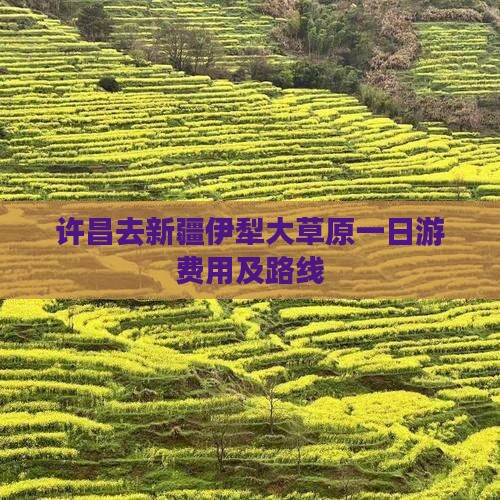 许昌去新疆伊犁大草原一日游费用及路线