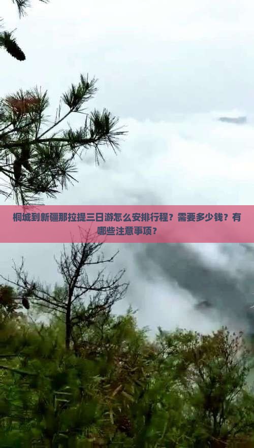 桐城到新疆那拉提三日游怎么安排行程？需要多少钱？有哪些注意事项？