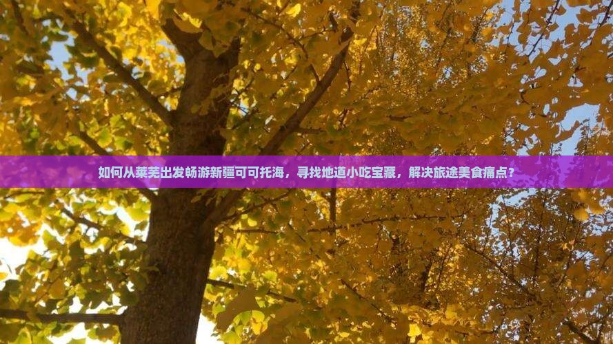 如何从莱芜出发畅游新疆可可托海，寻找地道小吃宝藏，解决旅途美食痛点？