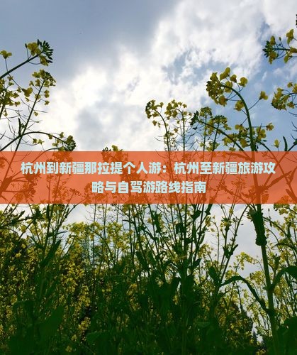 杭州到新疆那拉提个人游：杭州至新疆旅游攻略与自驾游路线指南