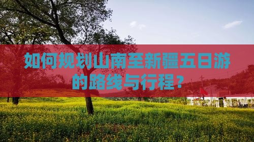 如何规划山南至新疆五日游的路线与行程？