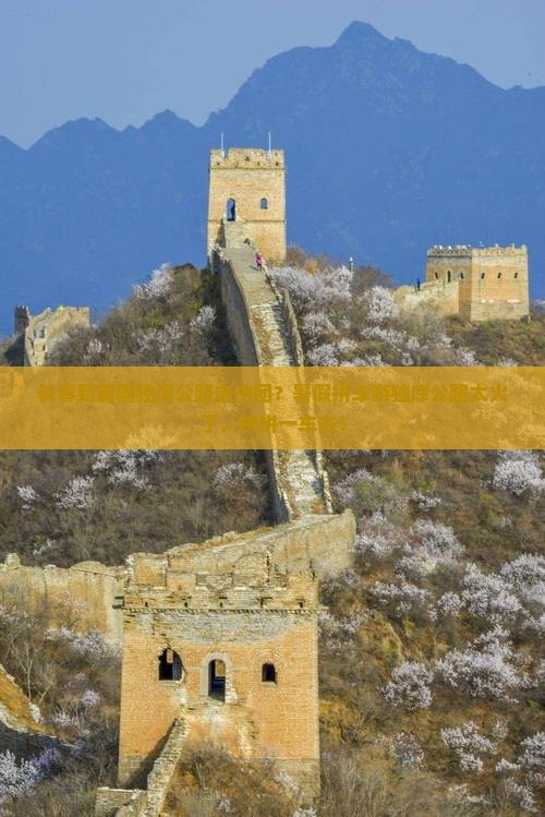 长春到新疆独库公路自由团？暑假拼车游独库公路太火了，快拼一车去！