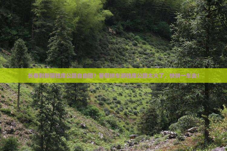 长春到新疆独库公路自由团？暑假拼车游独库公路太火了，快拼一车去！