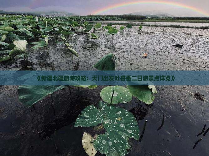 《新疆北疆旅游攻略：天门出发吐鲁番二日游景点详览》