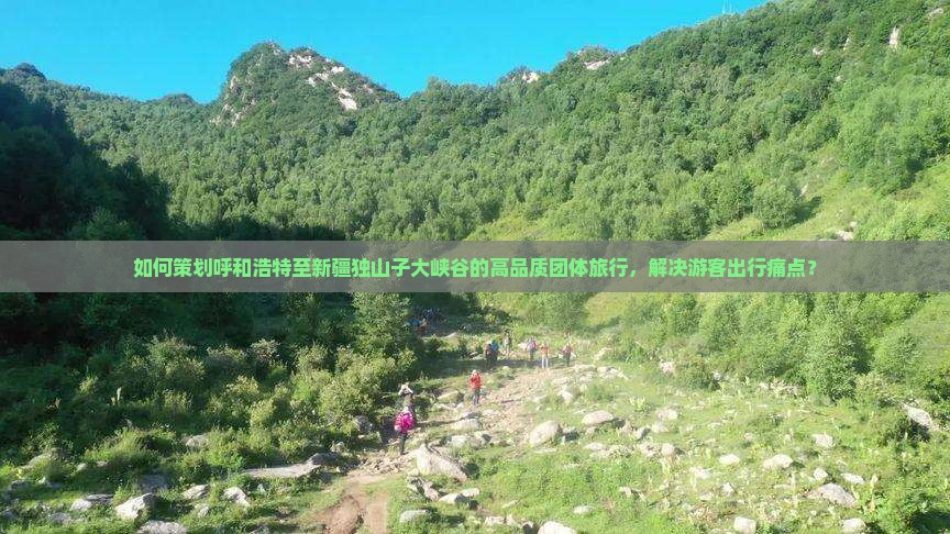 如何策划呼和浩特至新疆独山子大峡谷的高品质团体旅行，解决游客出行痛点？