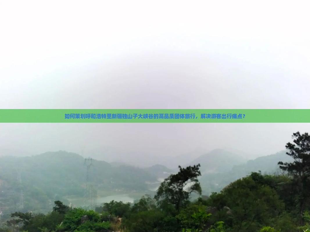 如何策划呼和浩特至新疆独山子大峡谷的高品质团体旅行，解决游客出行痛点？