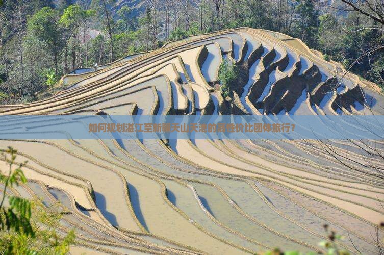 如何规划湛江至新疆天山天池的高性价比团体旅行？