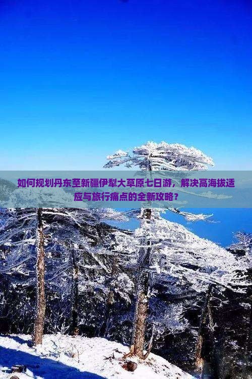 如何规划丹东至新疆伊犁大草原七日游，解决高海拔适应与旅行痛点的全新攻略？