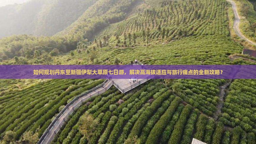 如何规划丹东至新疆伊犁大草原七日游，解决高海拔适应与旅行痛点的全新攻略？